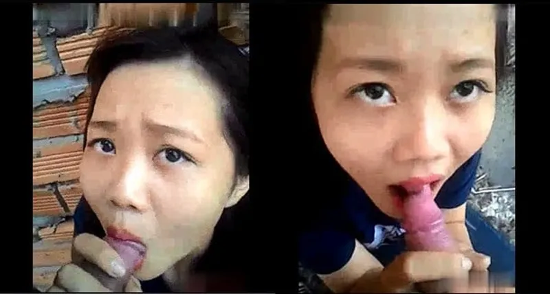 Bồ bú cu ở vườn sau nhà